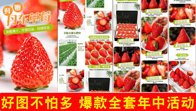 丹東草莓詳情