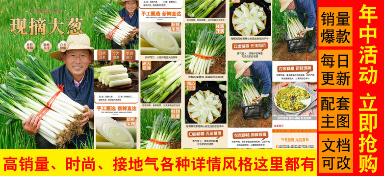 現(xiàn)摘大蔥詳情頁