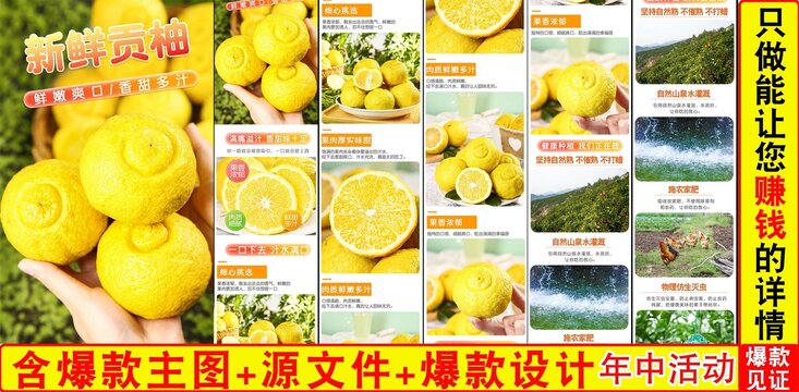 新鮮貢柚詳情頁