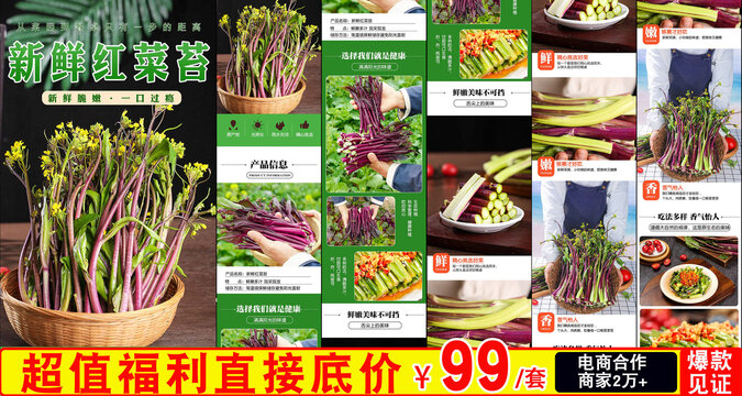 紅菜苔詳情頁