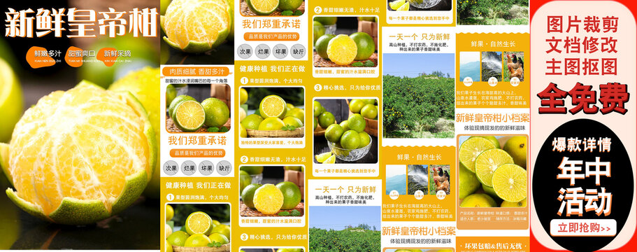皇帝柑詳情頁