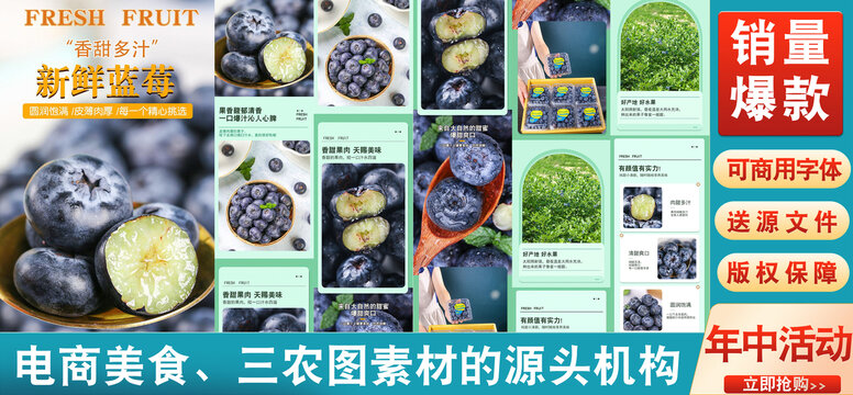 新鮮藍(lán)莓詳情頁