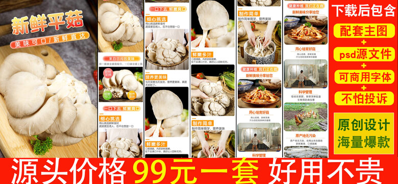 新鮮平菇詳情頁