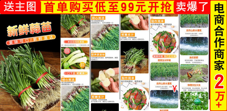 新鮮蒜苗詳情頁