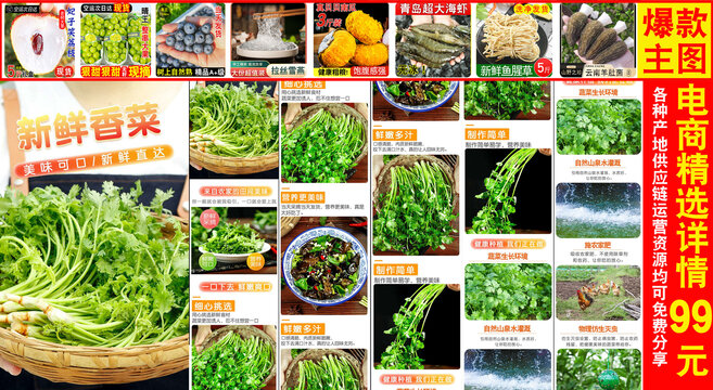 新鮮香菜詳情頁(yè)