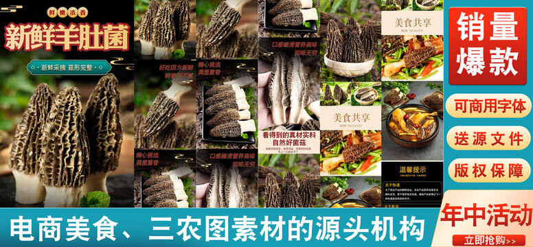 羊肚菌詳情