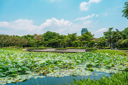 肇庆市七星岩梨花园