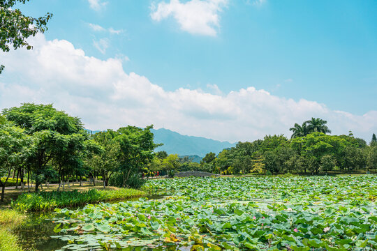 七星岩梨花园牌坊公园