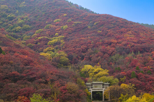 山东济南红叶谷秋天航拍