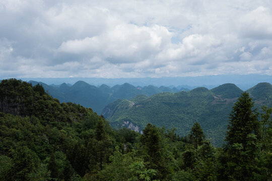 青山