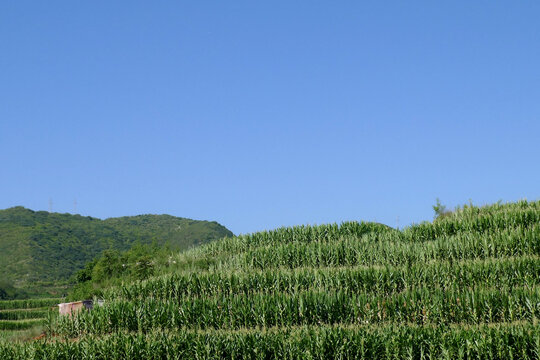 太行山区