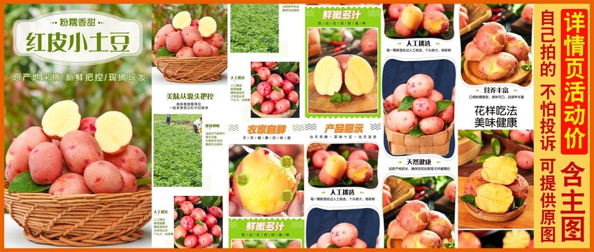 紅皮小土豆詳情