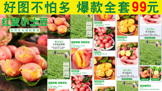 紅皮小土豆詳情頁