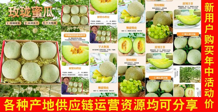 玫瓏蜜瓜詳情頁