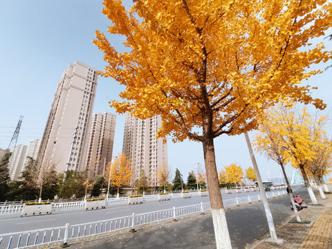 翔宇北道城建大厦段