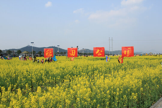 稻田风光