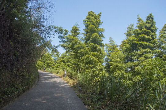 云际山登山小路