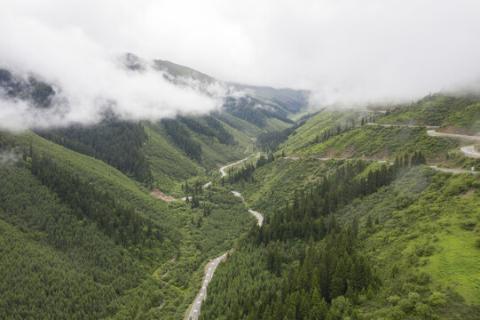 山区公路云雾