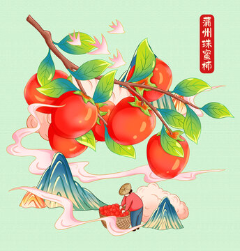 蒲州珠蜜柿插畫手繪