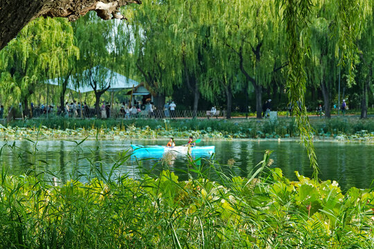 北京亮马河公园夏日泛舟游