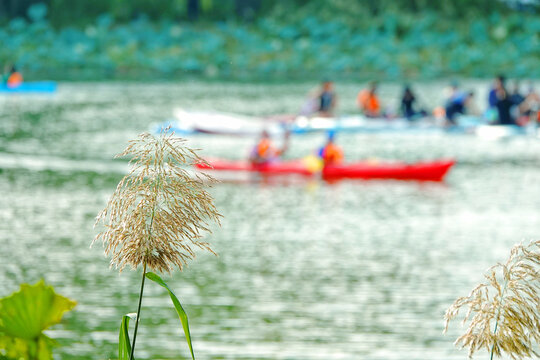 北京亮马河公园夏日游船风光