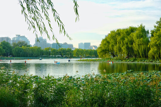 北京亮马河公园夏日游船风光