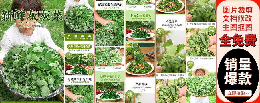 灰灰菜詳情頁
