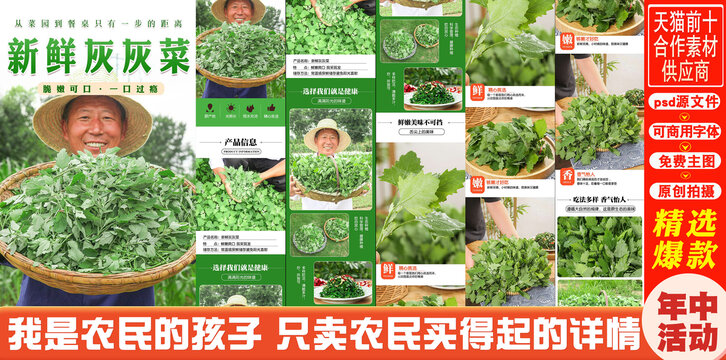 灰灰菜詳情頁