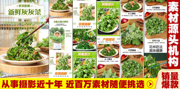 灰灰菜詳情頁