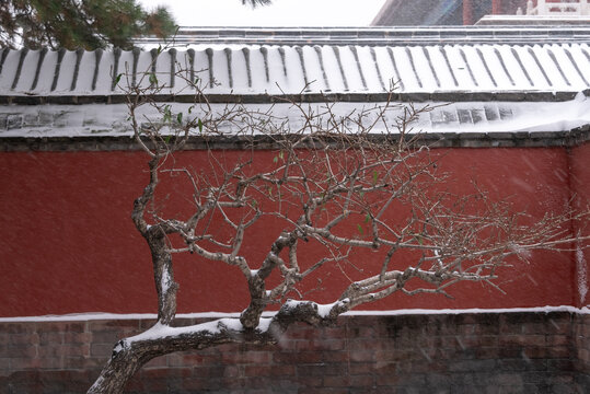 北京故宫雪景