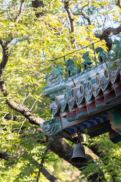 北京潭柘寺