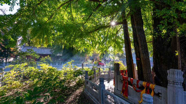 北京潭柘寺