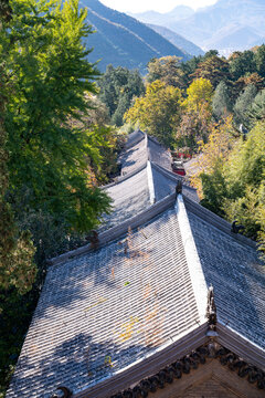 北京潭柘寺