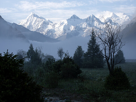 早晨雾气中的森林雪山风景
