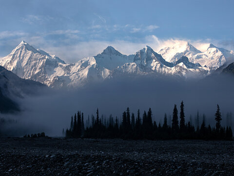 早晨大雾中的森林雪山风景