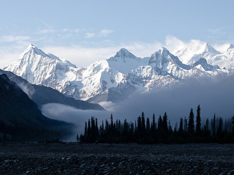 早晨大雾中的森林雪山风景