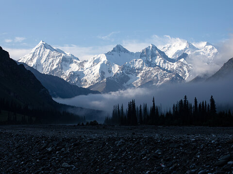 早晨大雾中的森林雪山风景