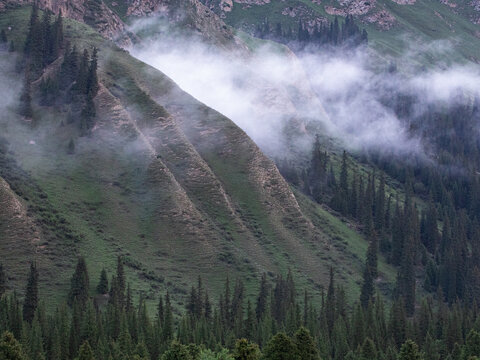 早晨雾气中的高山风景