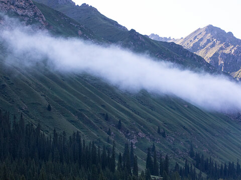 早晨雾气中的高山风景