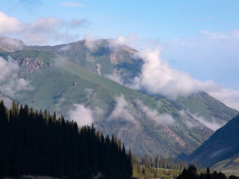 早晨雾气中的高山风景