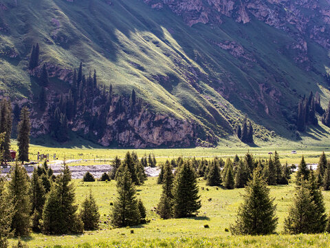 新疆的草原森林大山风景