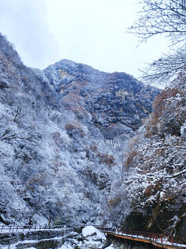 山谷中的雪景