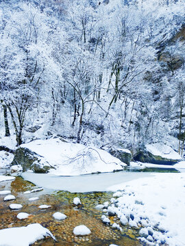 山谷中的雪景