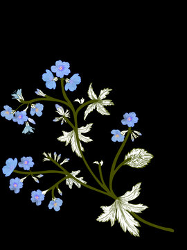 藍(lán)亞麻花花枝