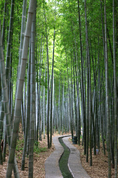 日照竹洞天风景区