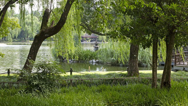 浙江大学华家池