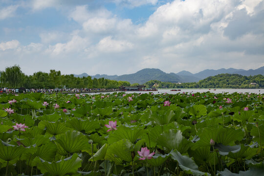 杭州断桥