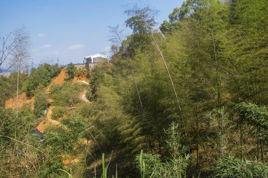 云际山公园园林风景