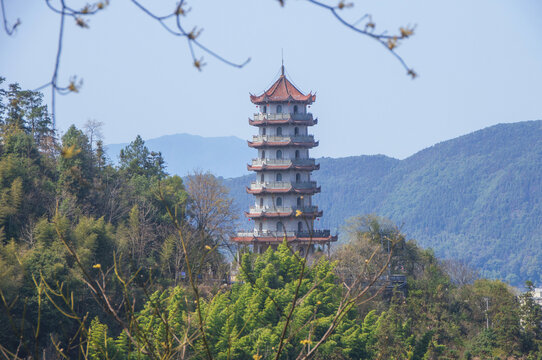 山顶的水南塔