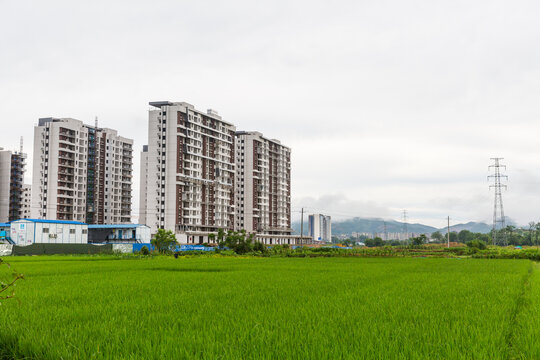 新农村建设